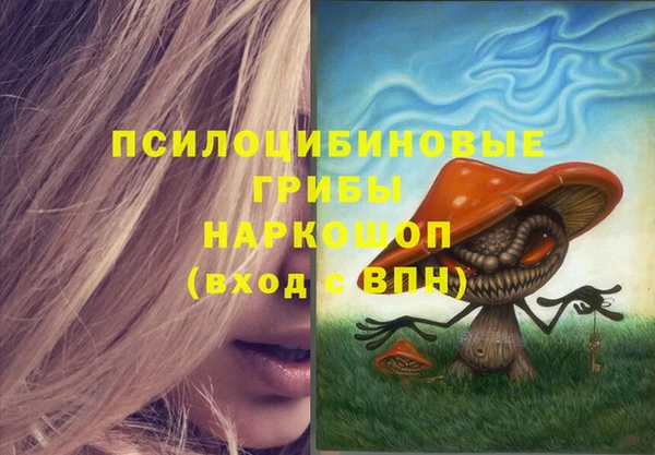 шишки Бородино